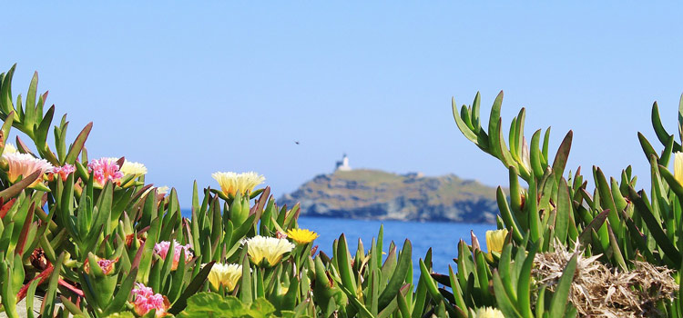 Cap Corse sur la Route des Sens en Corse