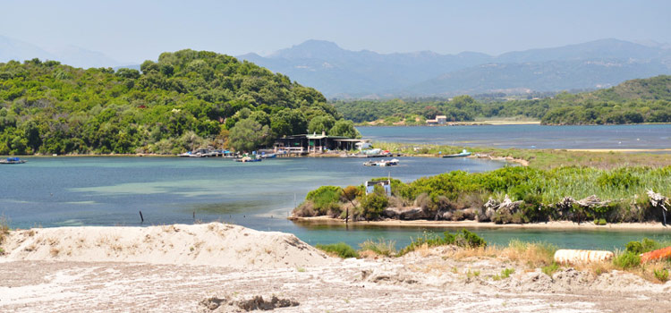 Etang de Diana en Corse